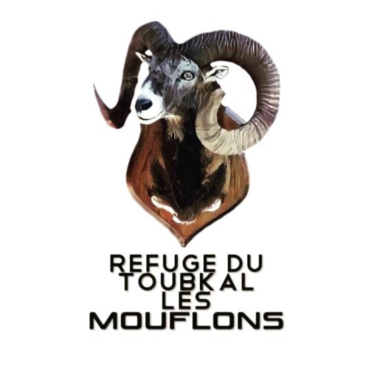 Refuge du Toubkal Les Mouflons